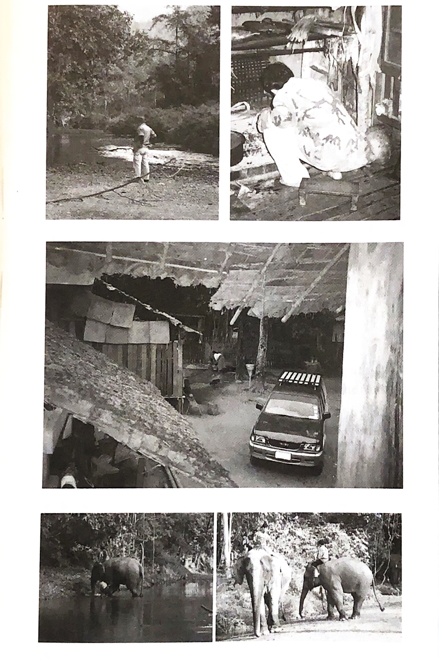 “Mist Upon Mountains” by Soraida Salwala